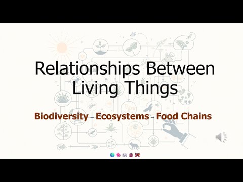 Biodiversity & Food Chains Explained: Essential Revision for ESL Science Students