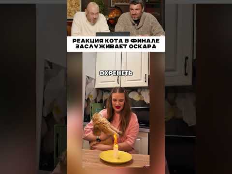Реакция кота в финале заслуживает оскара 😂