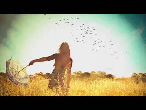 Thương tôi - Vân Shi