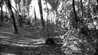 Stereo³ The Long Road