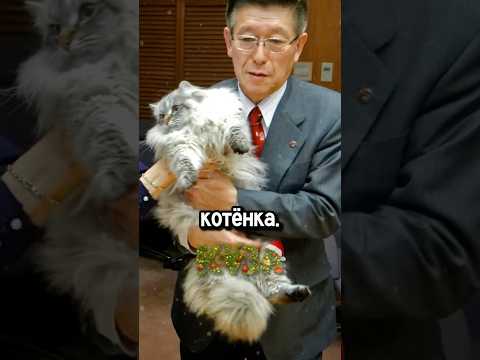 Президентские подарки