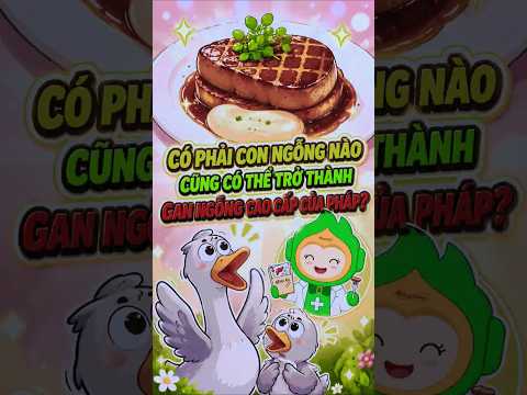 Có phải con ngỗng nào cũng có thể trở thành gan ngỗng béo của Pháp?