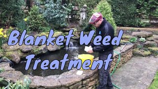 How to get rid of blanket weed in a pond | How to apply Multi Clear