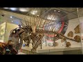 Smithsonian National Museum of Natural History | Hall of Fossils | Washington DC National Mall
