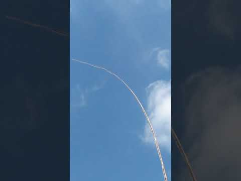 kucing  kecil. lucu  seana