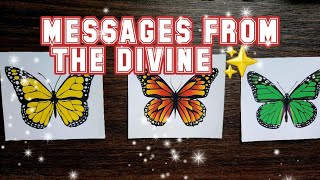 PICK A CARD🙏 MESSAGES FROM THE DIVINE 🫀