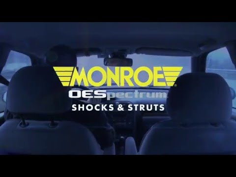 Monroe | OESpectrum Shocks & Struts