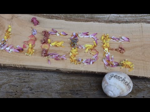 "Alles in Liebe" - Lied zur Jahreslosung 2024