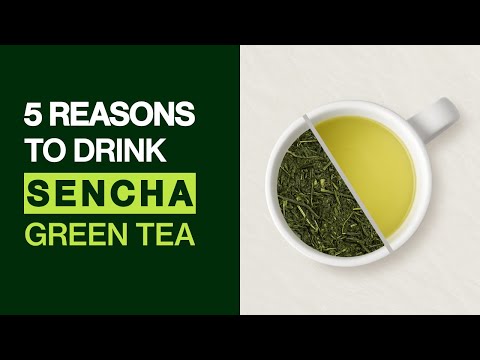 Sencha Tea Benefits - 5 Benefits of Sencha