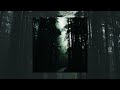 Willex Dolorem Slowed Reversed Sad Reddit Tik Tok Song