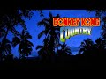 Donkey Kong Country Relaxing Music From Entire Series Tropical Forest At Night