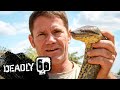 Steve Wrestles With A Green Anaconda Deadly 60 BBC Earth Kids