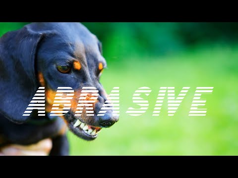 Video thumbnail for Abrasive