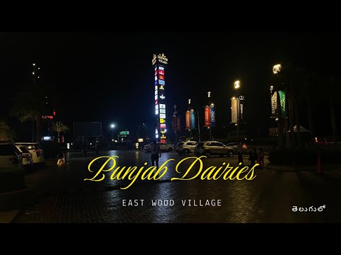 Punjab Dairies || LPU || East Wood Village || Ashritha Vlogs || @Ashrithavalaparla