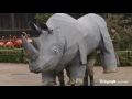 Trenink na utek nosorozce (Tearon) - Známka: 1, váha: malá