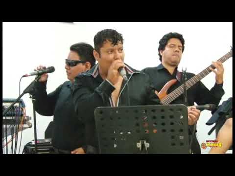 Mix Elmer Vive - The Lady Music