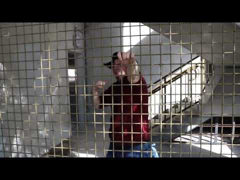 KILLSWITCH- FOKIS KNAWLEDGE