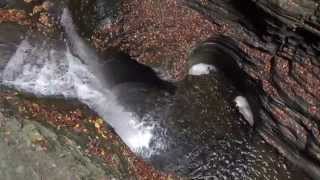 preview picture of video 'Finger Lakes Park Minute: The Heart of Minnehaha, Watkins Glen State Park'