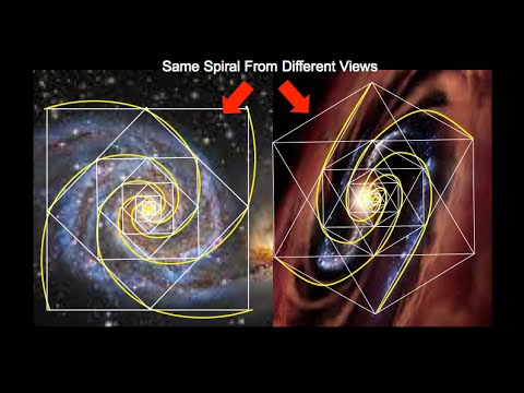 Krystal Spiral within the Flower of Life: Two Views of One Spiral
