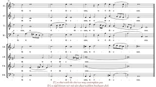De Victoria | Ave Maria [á 8; Magnificat Ensemble]