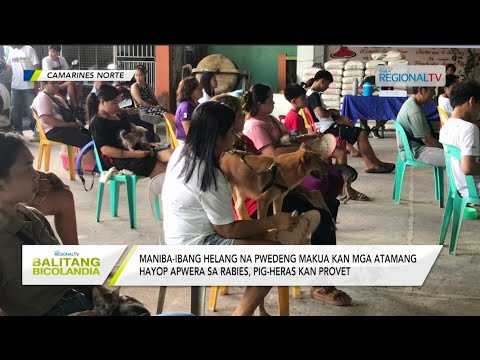 Balitang Bicolandia: Pagigin totoong pet hero, pig-heras sa mga residente sa Daet