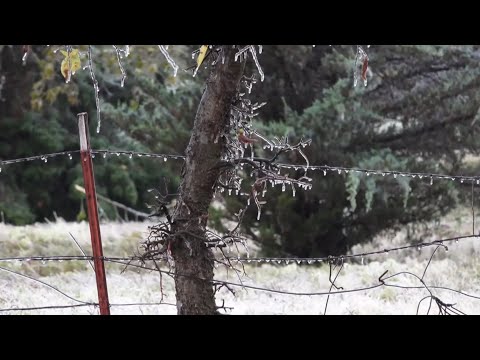 10-26-2020 Oklahoma City, OK - Destructive Ice Storm: Tree Limbs Snapping, Damage, Ice Accumulation