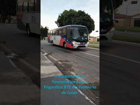 Movimentação de ônibus nas ruas de Trindade GO 🇧🇷 #bus #ônibus #travel