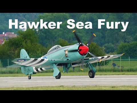 Hawker Sea Fury | Dan Griffith | Pardubice Airshow 2022 | 4K