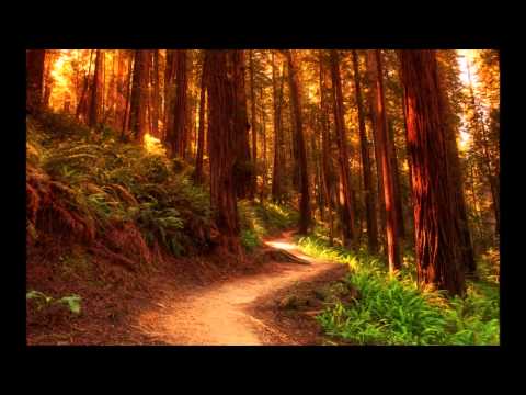 David K-Meet You (Thomas Lizzara Remix)