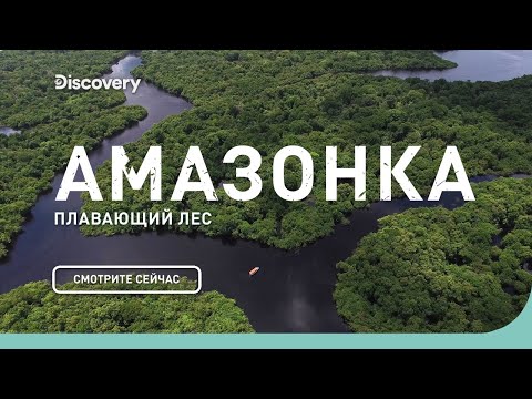 Амазонка: плавающий лес | Неизведанные острова | Discovery Channel