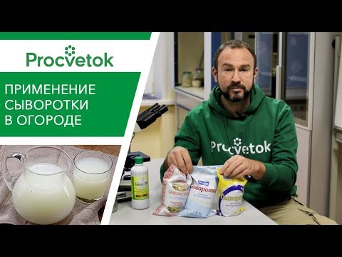 Что будет, если подкармливать растения молочной сывороткой?