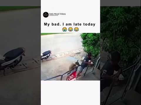 First let me open the office  😂😂 #funnydogs #funny #memes #viral