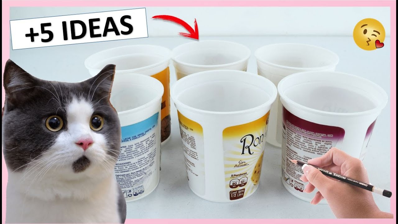 5 Manualidades GENIALES 😱 CON POTES DE HELADO Y BOTELLAS DE PLÁSTICO ♻️