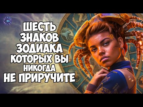 6 знаков Зодиака, которых вы никогда не приручите