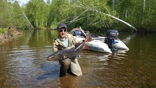Рыбалка в горных ручьях средней азии