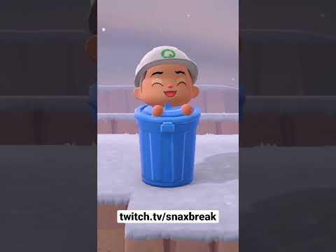 Glitches you can still do in Animal Crossing!