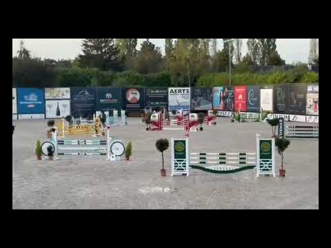 Noble Zoya 5yrs class Azelhof video 2 CLEAR