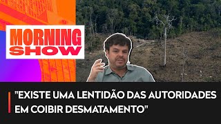 Desmatamento na Amazônia em um ano é o maior desde 2006