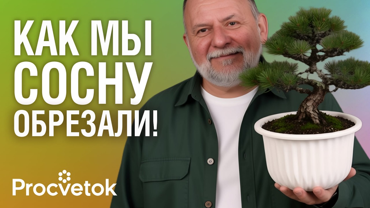 НЕ ВЗДУМАЙТЕ ИЗБАВЛЯТЬСЯ ОТ ТАКОГО ДЕРЕВА! Оно станет изюминкой вашего сада