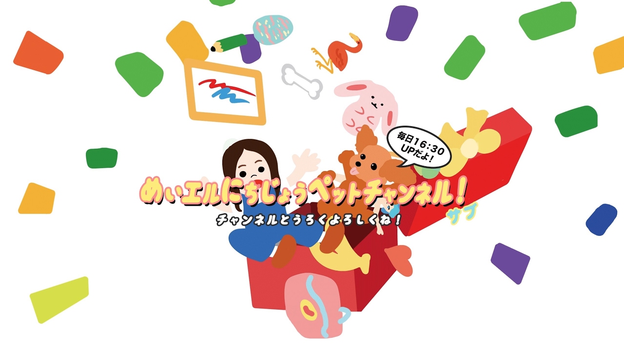 めいエルのにちじょうペットチャンネル!【サブ】 のライブ ストリーム