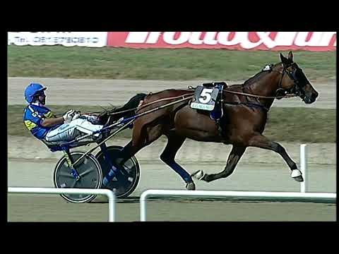 Napoli Trotto 01/10/2021 - 1ª corsa