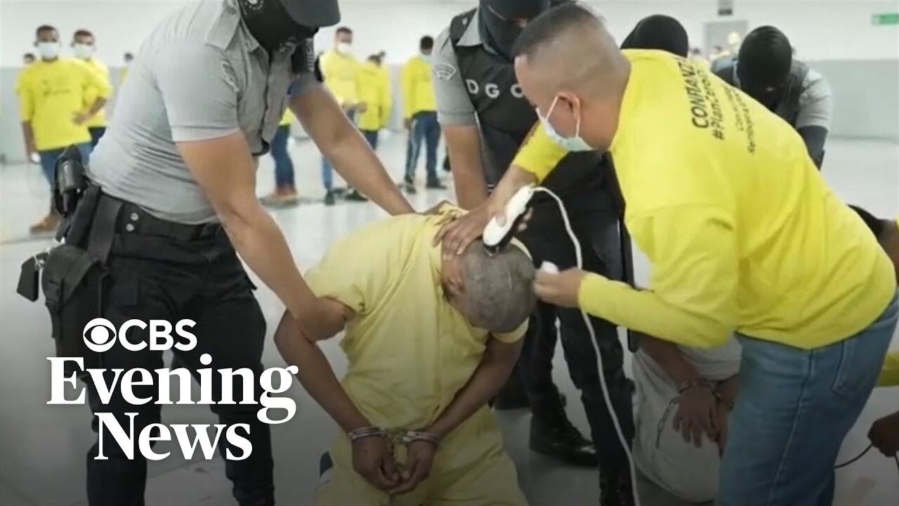 Due process concerns for immigrants deported for alleged gang membership