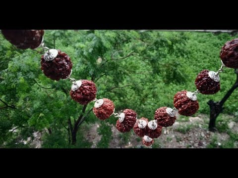 RUDRAKSHA COMBINATIONS IN  HINDI, Part-1