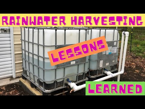 Rainwater Harvesting: Crucial Lessons from My Journey