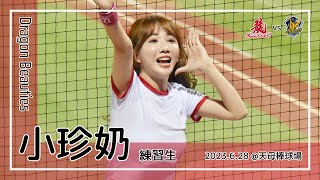 【台湾チア】小珍奶 Bubble Tea / Dragon Beauties練習生 / 2023.6.28 石翔宇,李凱威,拿莫．伊漾 應援曲 + 嗆司曲 狂龍降臨 [中文歌詞]