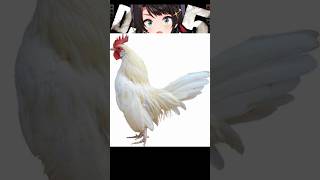 リオナ、フブキ、スバルによるモノマネメドレーw #hololive #vtuber #響咲リオナ #白上フブキ #大空スバル