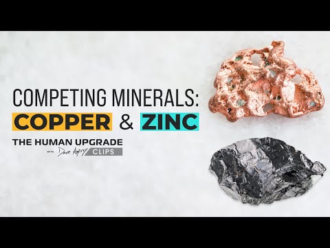 Mineral Absorption: Copper vs. Zinc | Dr. Chrisy Sutton x Dave Asprey