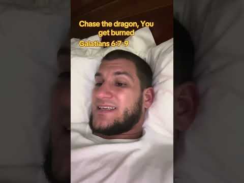 The dragon constellation has arrived 