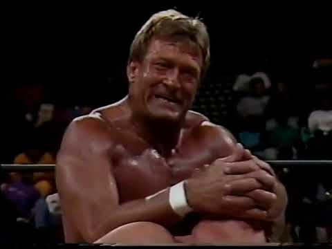Pretty Wonderful (Paul Orndorff Paul Roma) vs. Sting Brian Pillman  - 3/3/1994 - WCW