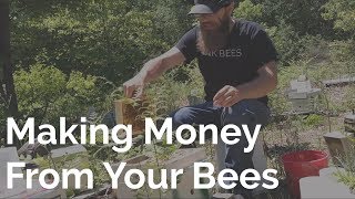 My Advice To Those Looking To Make Money From Bees
